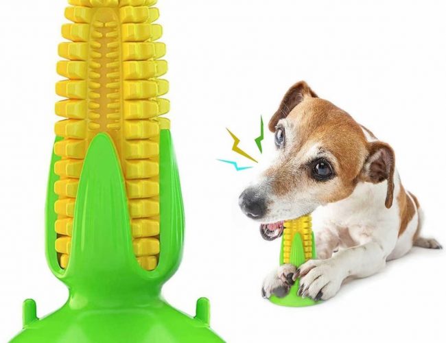 Best Dog Toys For Chewers