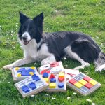 Best Puzzle Toys For Dogs