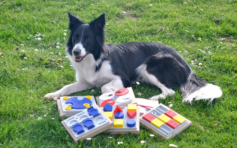 Best Puzzle Toys For Dogs