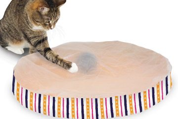 Best Toys For Cats