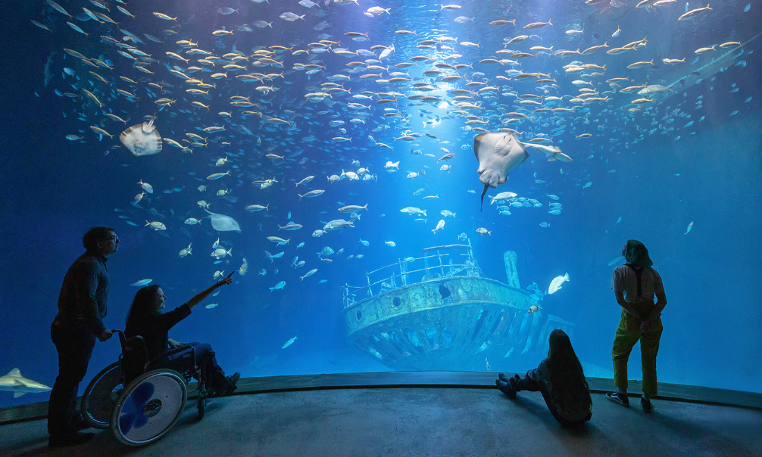 Best German aquarium brands